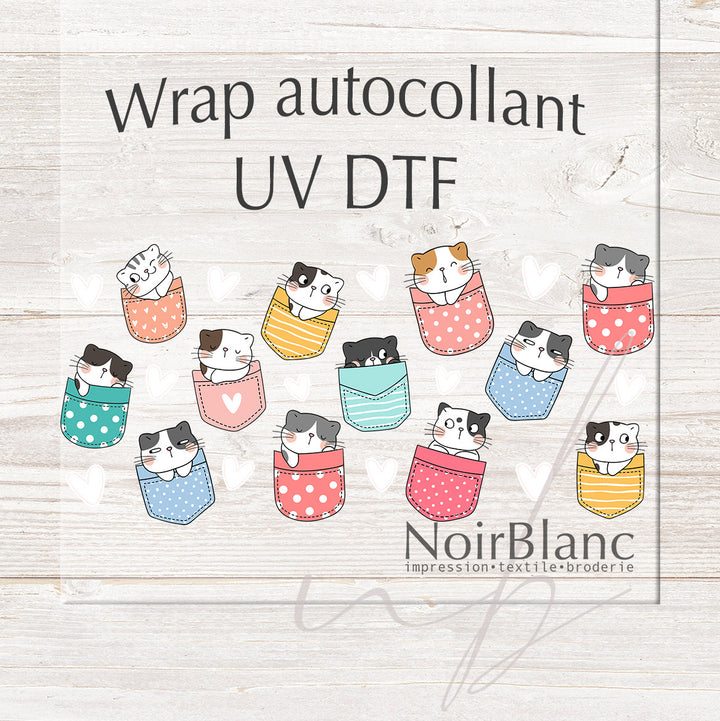 Verre Cat in the pocket / Autocollant UV DTF
