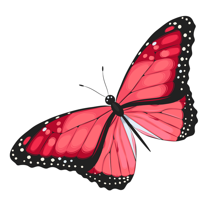 Papillons - Banque de motifs sur mesure