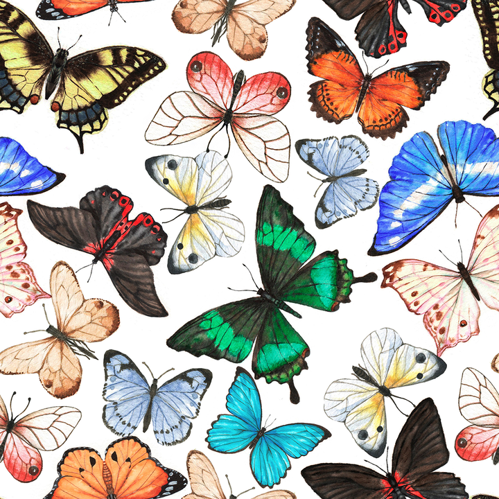 Papillons - Banque de motifs sur mesure